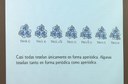 Escuela mate mujeres10.jpg