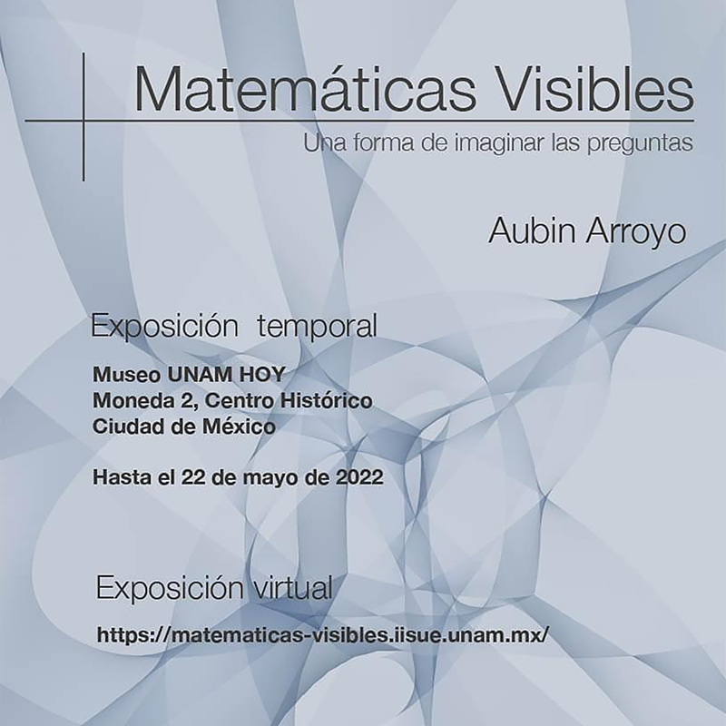 Matemáticas Visibles