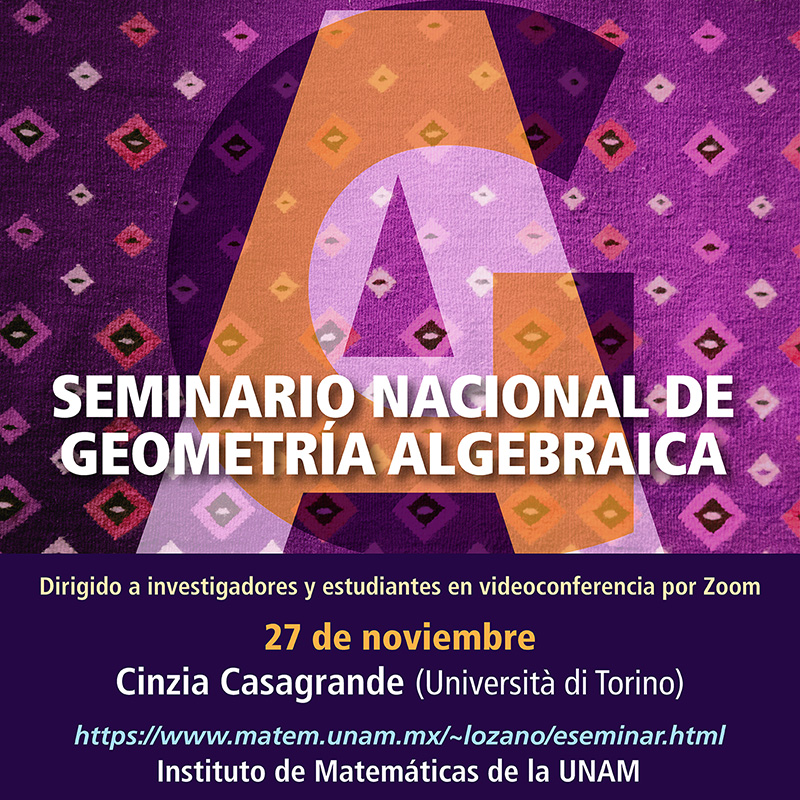 Seminario Nacional de Geometría Algebraica en línea