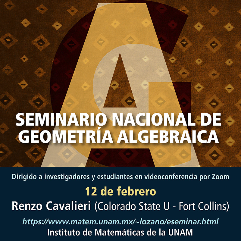 Seminario Nacional de Geometría Algebraica en línea