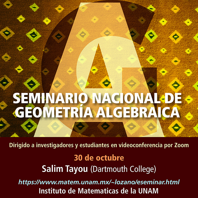 Seminario Nacional de Geometría Algebraica en línea