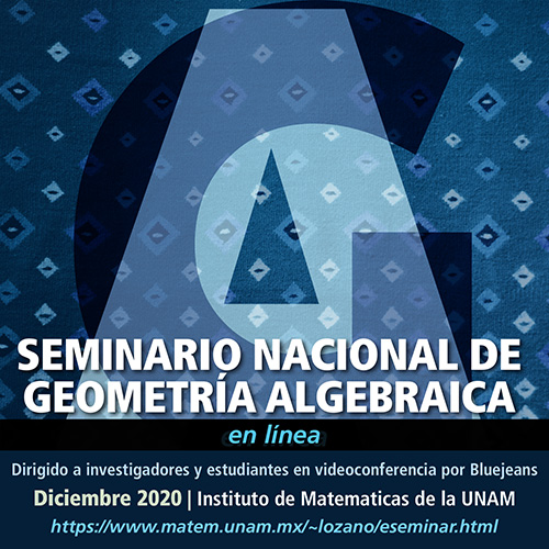 Seminario Nacional de Geometría Algebraica en línea: Diciembre