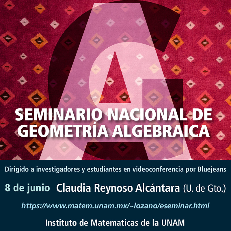 Seminario Nacional de Geometría Algebraica en línea: junio