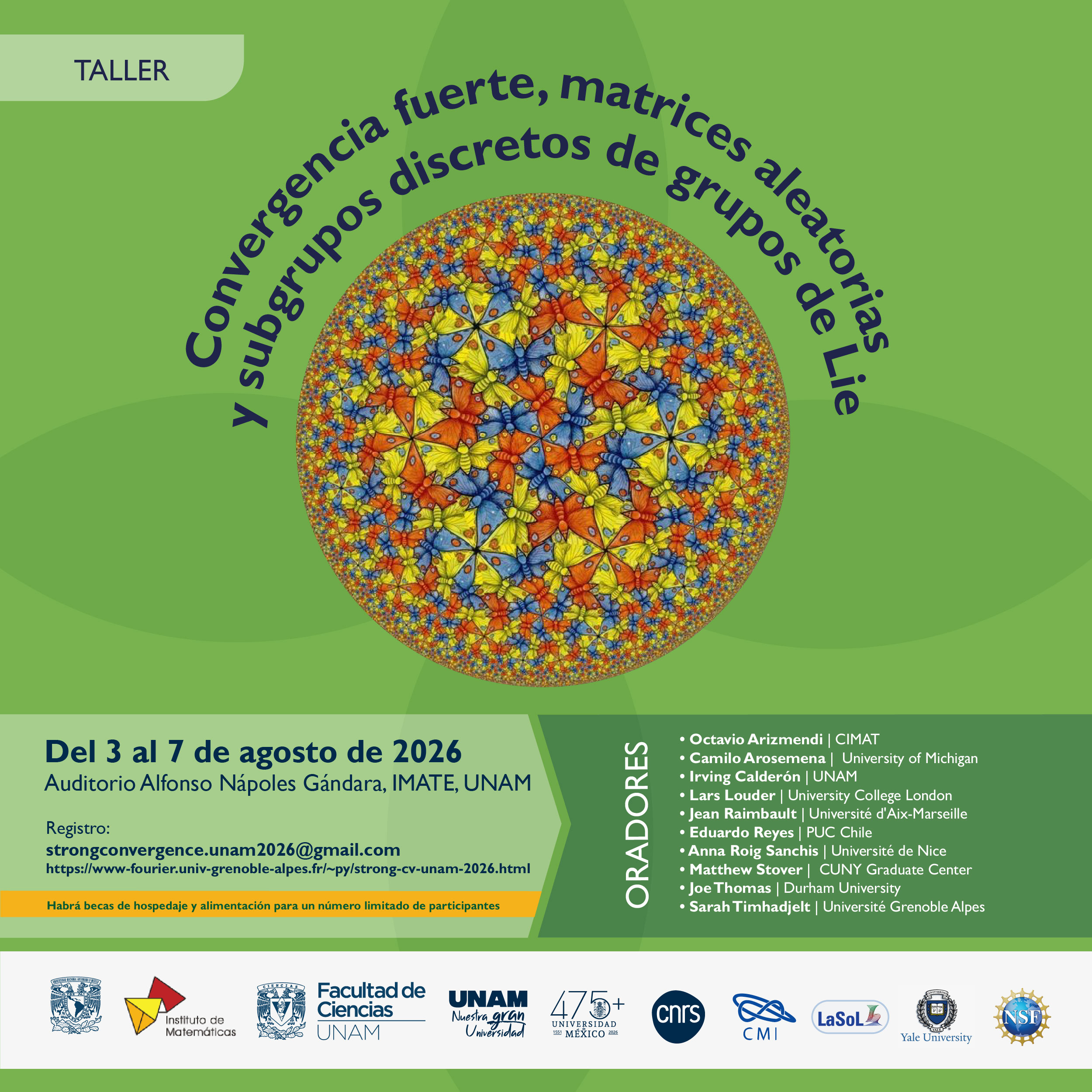 Workshop Strong convergence, random matrices and discrete subgroups of Lie groups