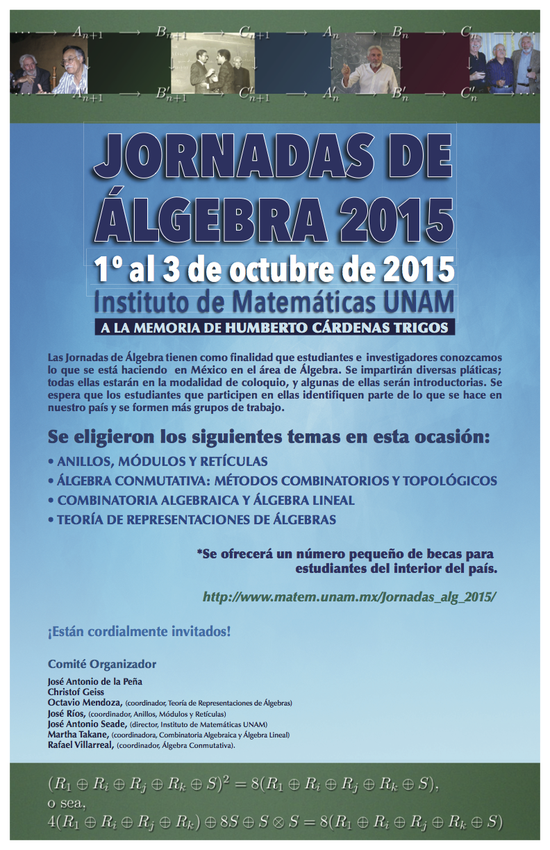 Jornadas de álgebra 2015
