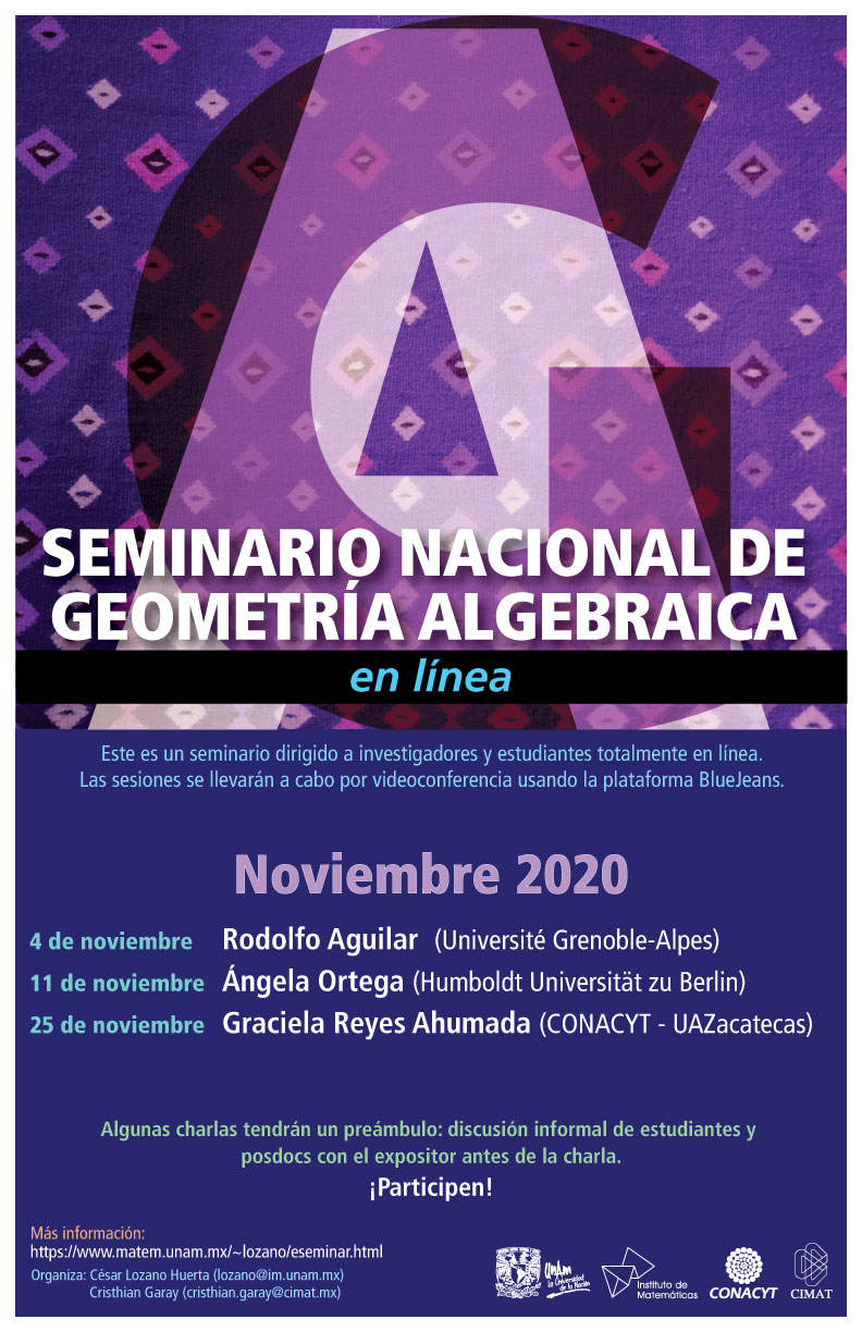 Seminario Nacional de Geometría Algebraica en línea: Noviembre