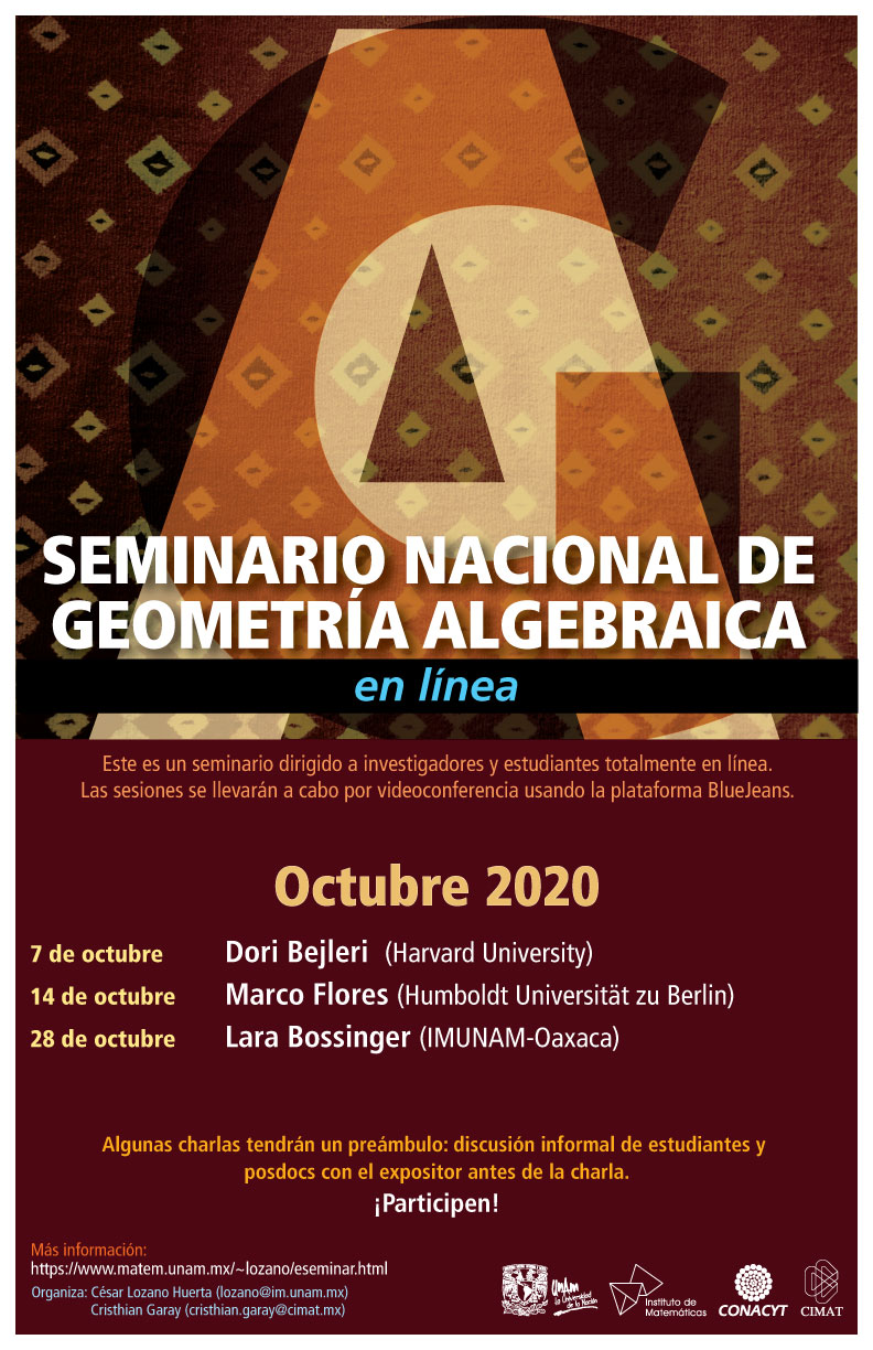 Seminario Nacional de Geometría Algebraica en línea: Octubre