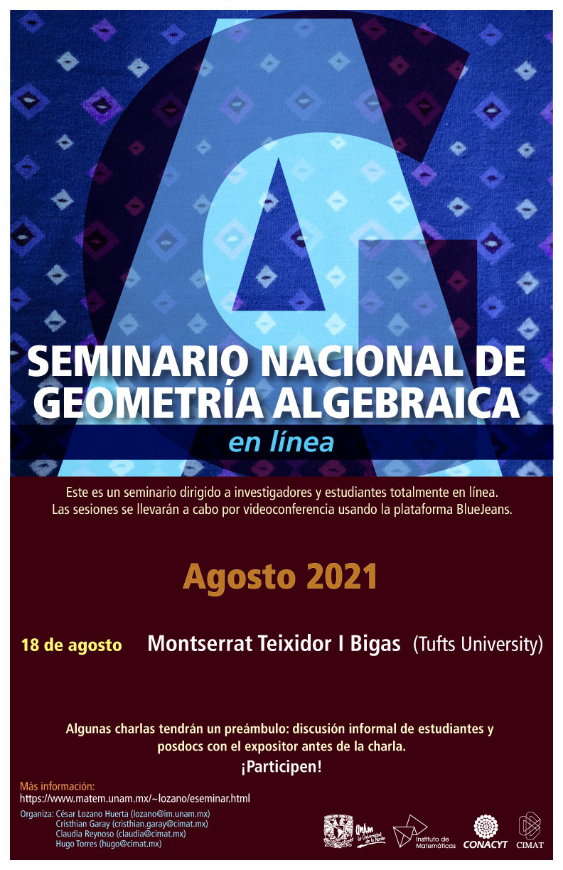 Seminario Nacional de Geometría Algebraica en línea: agosto 