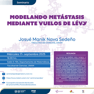 Seminario de Probabilidad y Procesos Estocásticos