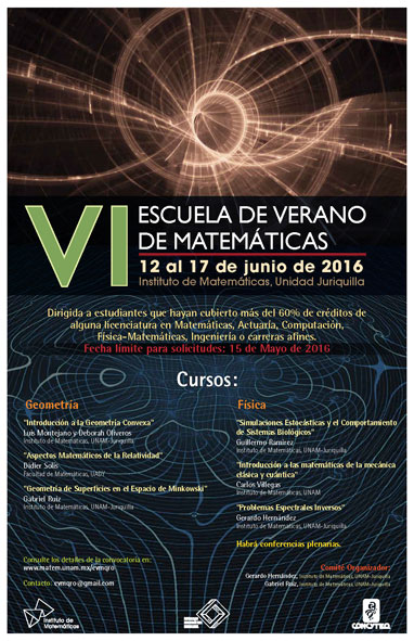 VI Escuela de Verano de Matemáticas