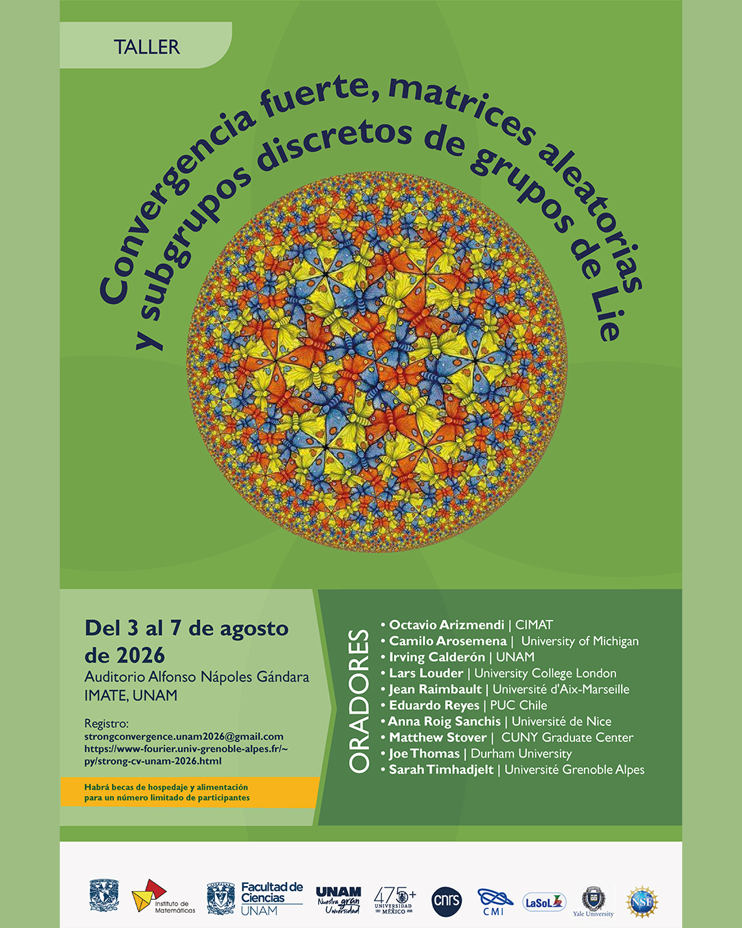Workshop Strong convergence, random matrices and discrete subgroups of Lie groups